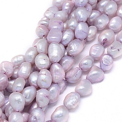 Brins de perles de culture d'eau douce colorées naturelles, ovale, lilas, 10~15x6~10mm, Trou: 0.8mm, Environ 30~34 pcs/chapelet, 14.1 pouce (36 cm)