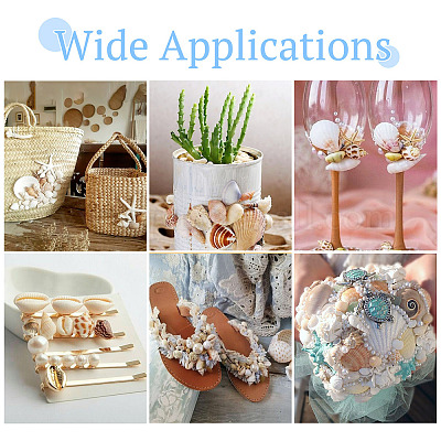 Натуральная раковина&nbsp;FIND-TAC0026-10C-1