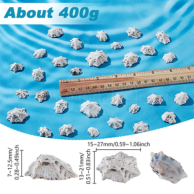 400 г натуральных ракушечных бусин SHEL-GA0002-31-1
