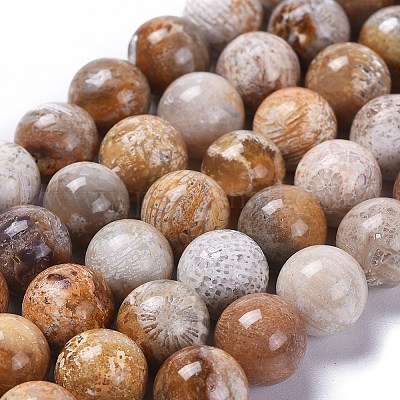 Fossil coral sale beads