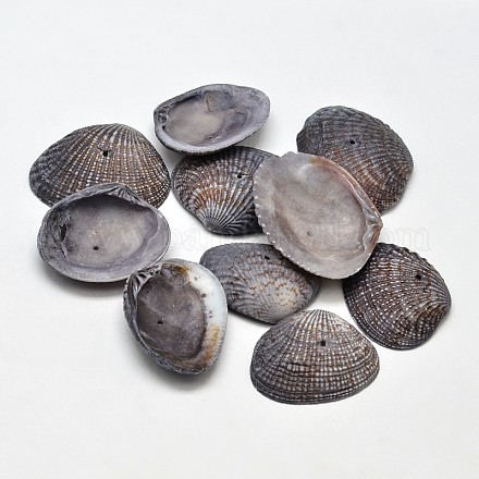 Perles de coquillage naturel teintées BSHE-O007-54C-1