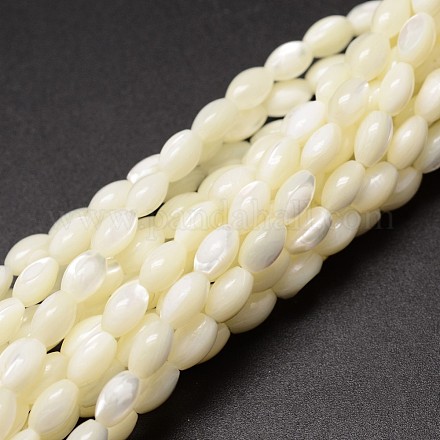 Fili di perle di conchiglia trochid naturale / trochus X-SSHEL-K008-06-1