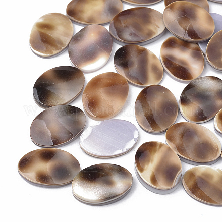 Tiger Cowrie Shell Cabochons SSHEL-S258-20-1