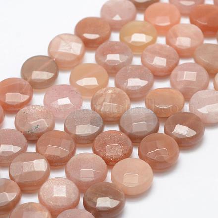 Chapelets de perles de sunstone naturelle naturelles G-P322-05-14mm-1