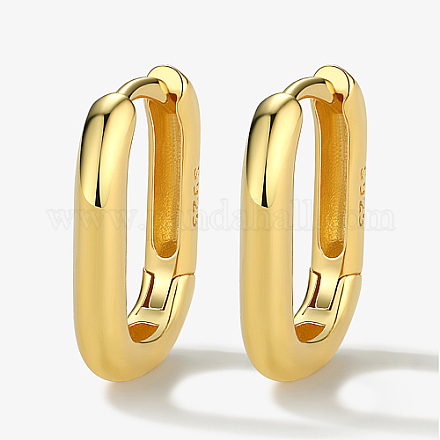 Серебристая серьга обруча ZM8420-2-1-1