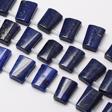 Natural Lapis Lazuli Trapezoid Bead Strands G-M264-25-1