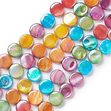 Eau douce naturelle de coquillage perles brins BSHE-E028-01-1