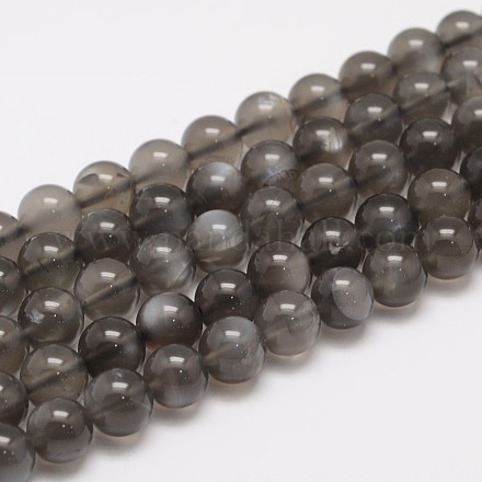 Natural Black Moonstone Beads Strands G-F306-06-8mm-1