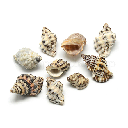 Pendientes de concha de caracol SSHEL-Q299-006-1