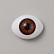 Plastic Doll Craft Eyes, Hollow Eyeballs, for Toy DIY Accessories, Oval, Chocolate, 14x19x7.5mm, Inner Diameter: 10mm