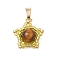 Natural Tiger Eye & Handmade Glass Seed Beaded Star Pendants, with 304 Stainless Steel Snap on Bails, Golden, Yellow, 18x17x8mm, Hole: 6x2.8mm