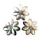 Natural Freshwater Shell Pendants, Flower Charm, 39x40.5x3mm, Hole: 2mm