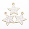 Alloy Enamel Pendants, Star, with Words, Golden, 18x16x1mm, Hole: 1.5mm