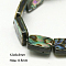 Natural Abalone Shell/Paua Shell Beads Strands, Rectangle, Colorful, 12x8x3mm, Hole: 0.5mm