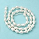 Chapelets de perles en coquille électrolytique BSHE-G010-6x9mm-01A-3