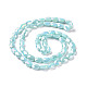 Faceted Electroplated Glass Beads Strands GLAA-G092-D05-3