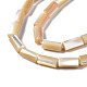 Chapelets de perles de coquille de trochid / trochus coquille X-SSHEL-S266-020B-02-3