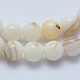 Chapelets de perles de coquillage G-F531-L-3