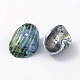 Natural Sea Shell Beads BSHE-S002-1-2