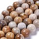 Natural Fossil Coral Beads Strands G-D135-8mm-01-1