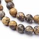 Natural Gemstone Leopard Skin Jasper Round Beads Strands G-A130-2mm-24-2