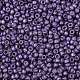 TOHO Round Seed Beads SEED-XTR08-0567F-2