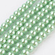 Eco-Friendly Dyed Glass Pearl Bead Strands HY-A008-6mm-RB008-1