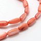 Dyed Oval Natural Freshwater Shell Beads Strands SHEL-E356-M-3