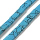 Synthetic Turquoise Beads Strands G-F762-A01-01-1