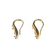 Brass Earring Hooks KK-N233-380-4