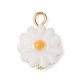 Natural Freshwater Shell Flower Charms with Golden Plated 304 Stainless Steel Loops PALLOY-JF02444-1