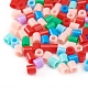 Kits de perles de fusible bricolage DIY-RD0001-07-4