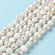 Natural Cultured Freshwater Pearl Beads Strands PEAR-E018-71-2