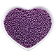 FINGERINSPIRE 11200pcs 12/0 Glass Seed Beads Opaque Color (Dark Purple) Loose Beads 2mm Pony Beads for DIY Craft Bracelet Necklace Jewelry Making(6OZ) SEED-OL0001-04-25-1