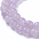 Natural Amethyst Beads Strands G-P433-23B-3