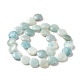 Chapelets de perles en amazonite naturelle G-C238-09-4