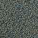 Perles rocailles miyuki rondes X-SEED-G008-RR2008-2