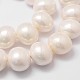 Chapelets de perles en coquille BSHE-L028-01-16x18-3