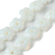 Opalite бисер пряди G-H023-B15-01