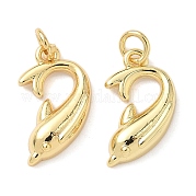 Латунные подвески KK-L239-028G