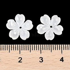 Резные бусины из натуральной белой ракушки&nbsp;SSHEL-I026-12D-05