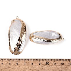 Colgantes grandes de concha marina natural galvanizada&nbsp;SSHEL-T018-18
