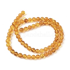 Янтарные шарики нити G-L095-B01-5mm-02