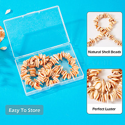 1 нить бусин из натуральных ракушек&nbsp;SSHEL-TA0001-13