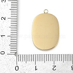 Подвески из нержавеющей стали 304 с эмалью&nbsp;STAS-I325-001G