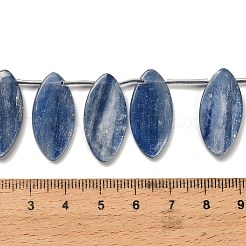 Натуральный кианитовые бисер пряди&nbsp;G-H335-H01-12x15mm