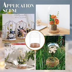 2 комплект купольной крышки из боросиликатного стекла DJEW-NB0001-20