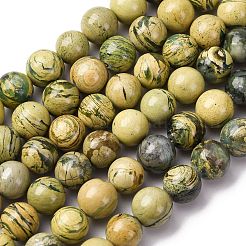 Нити бусин из натурального камня вердит G-C242-03-10mm