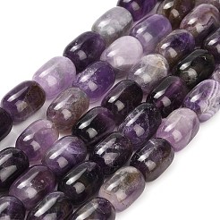 Natürlichen Amethyst Perlen Stränge&nbsp;G-H319-A02-02
