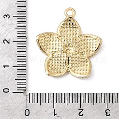 Подвески из эмали и сплава&nbsp;FIND-C079-03G-01